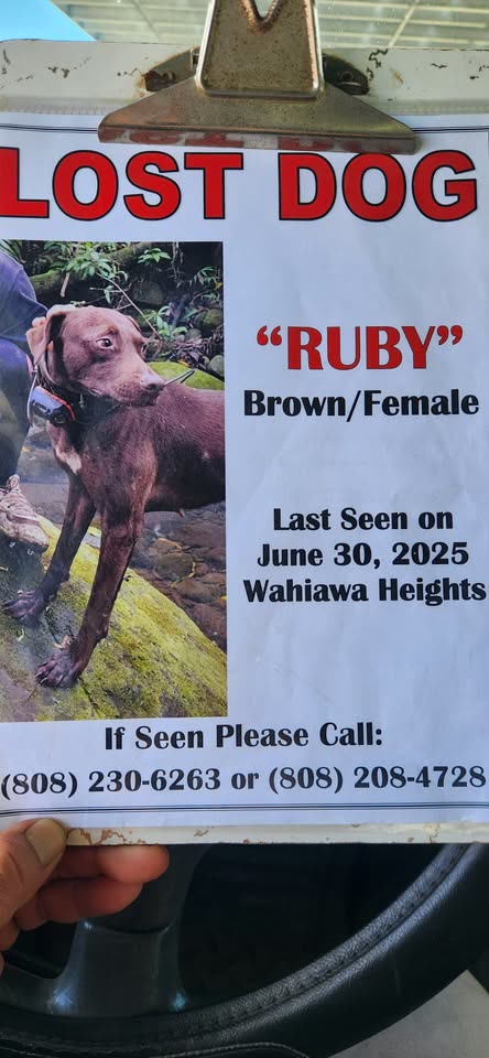 COMMUNITY - Hauula area | SSH Search