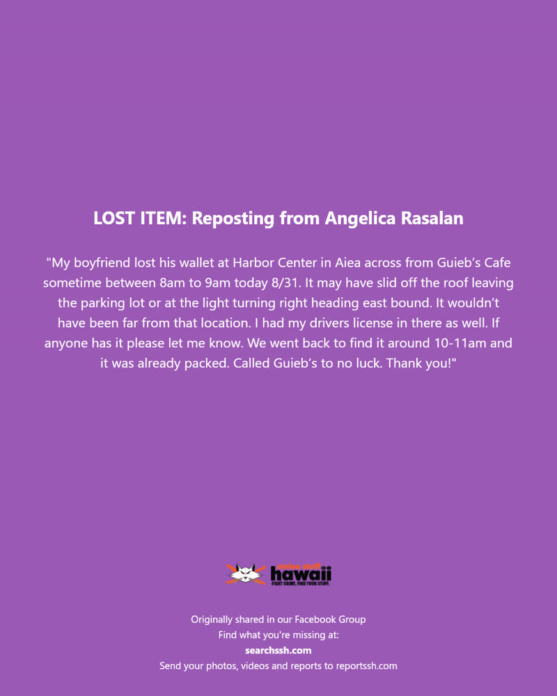LOST ITEM - Harbor Center, Aiea, Oahu | SSH Search