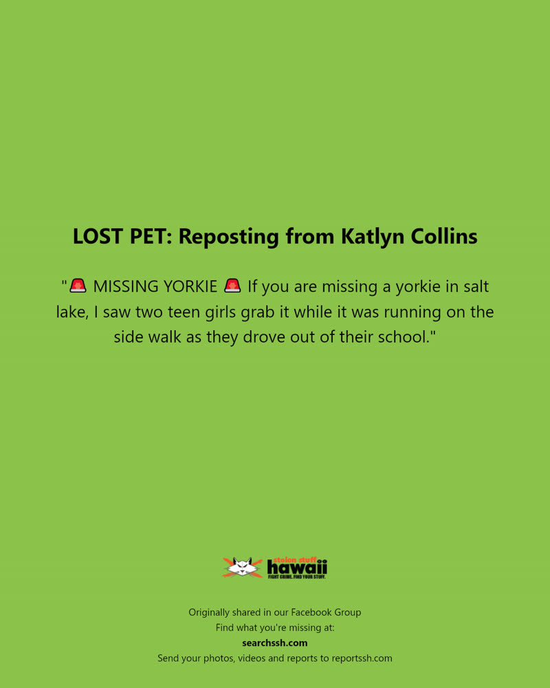 LOST PET - Salt Lake, Honolulu, Oahu | SSH Search