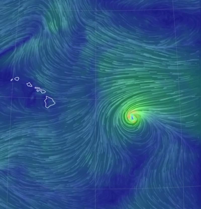 SSH LIVE - Hawaii | SSH Search