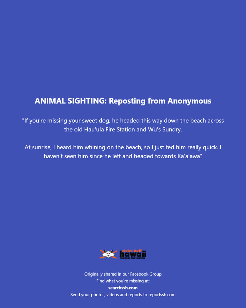 ANIMAL SIGHTING - Hau'ula Fire Station, Hau'ula, Oahu | SSH Search