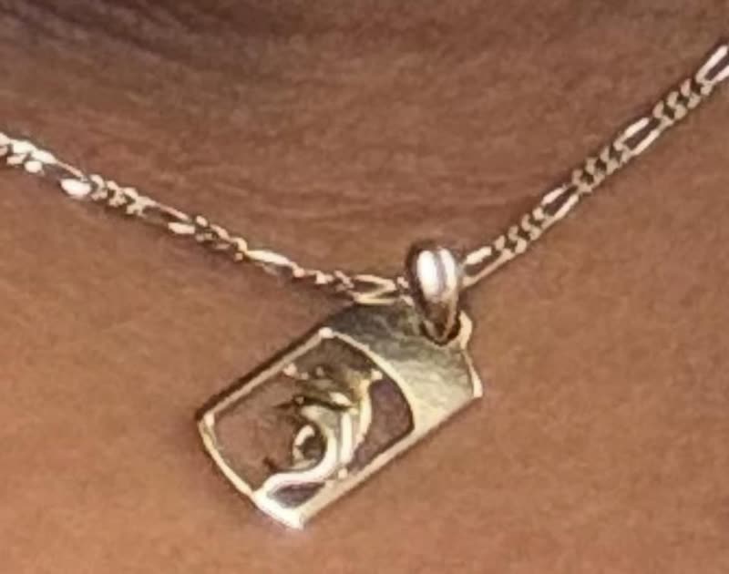 LOST ITEM - Kamakana Ali'i, Kapolei, Oahu | SSH Search
