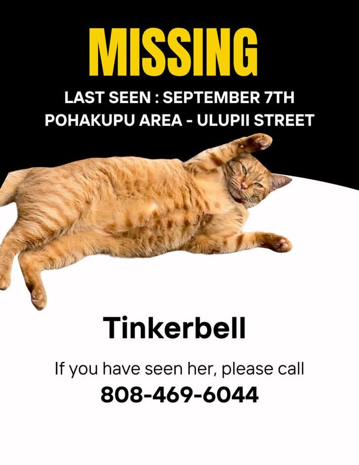 LOST PET - Pohakupu area, Kailua, Oahu | SSH Search