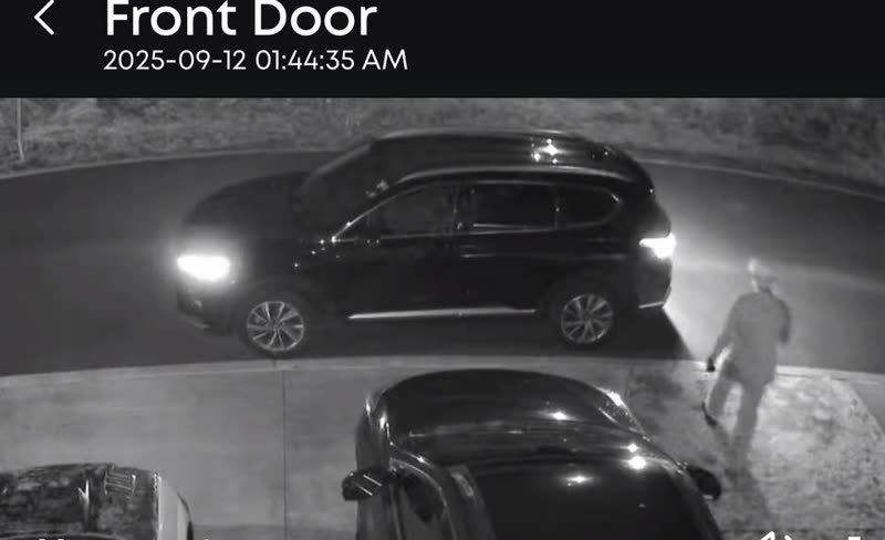 THEFT - Hawaii | SSH Search