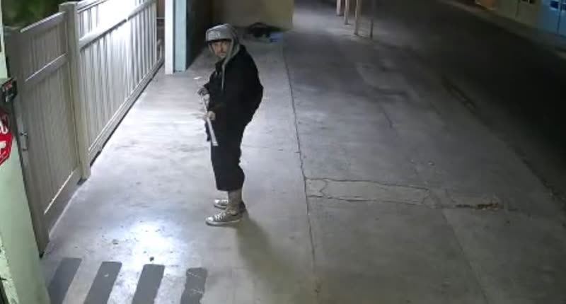 BURGLARY - Prince Edward Street, Waikiki, Honolulu | SSH Search