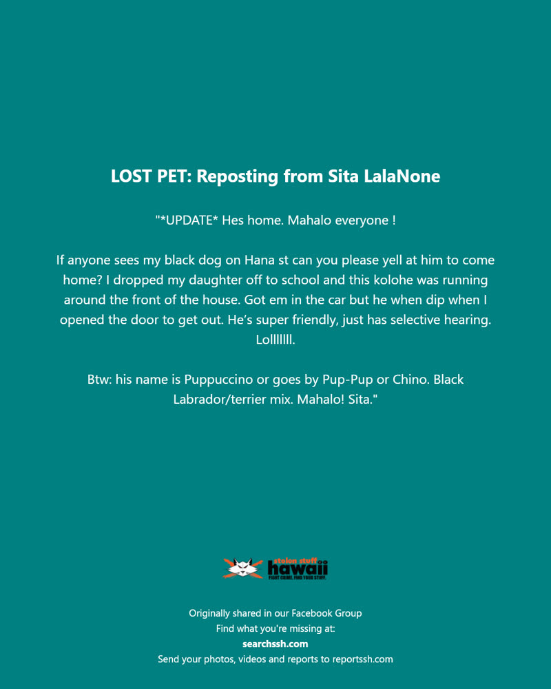 LOST PET - Hana Street, Hawaii | SSH Search