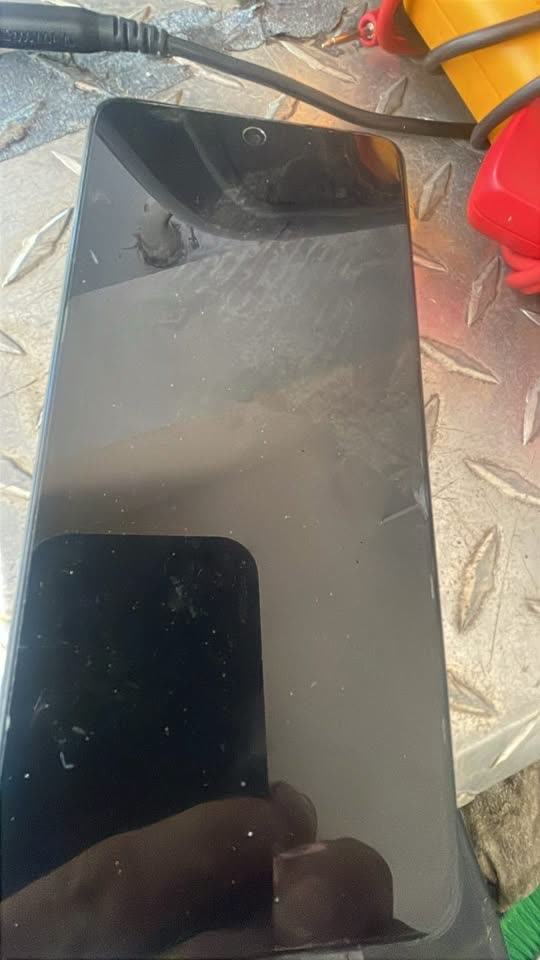 FOUND ITEM - Waikiki, near the post office | SSH Search
