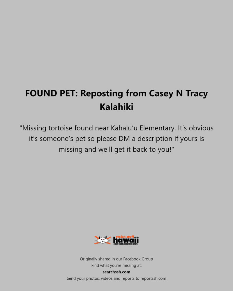 FOUND PET - Kahalu’u Elementary, Oahu | SSH Search