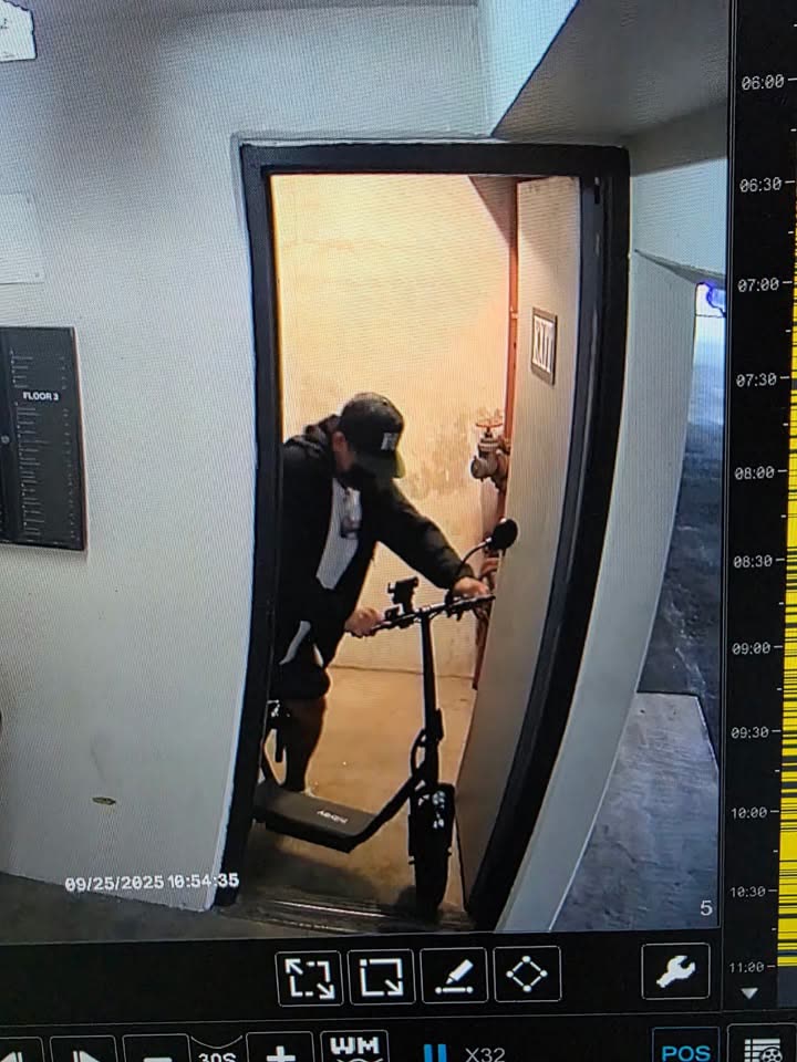 VEHICLE THEFT - Pali Palms building, Kailua, Oahu | SSH Search
