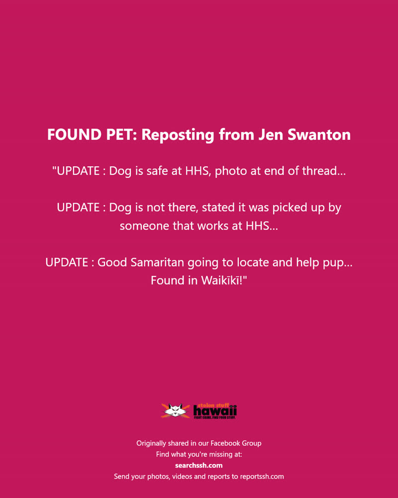 FOUND PET - Waikīkī | SSH Search