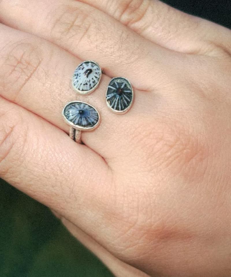 LOST ITEM - Hawaii | SSH Search
