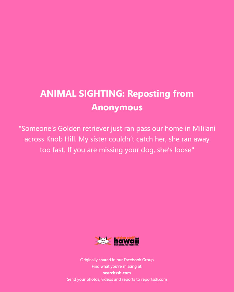ANIMAL SIGHTING - Mililani, Knob Hill | SSH Search