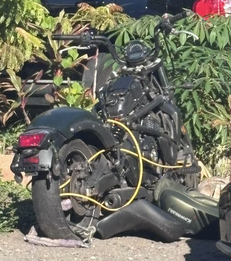 FOUND ITEM - Hawaii | SSH Search
