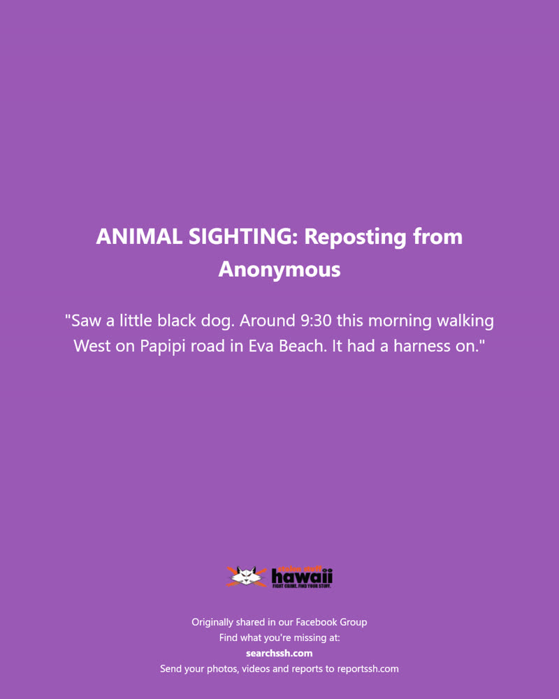 ANIMAL SIGHTING - Papipi Road, Ewa Beach | SSH Search