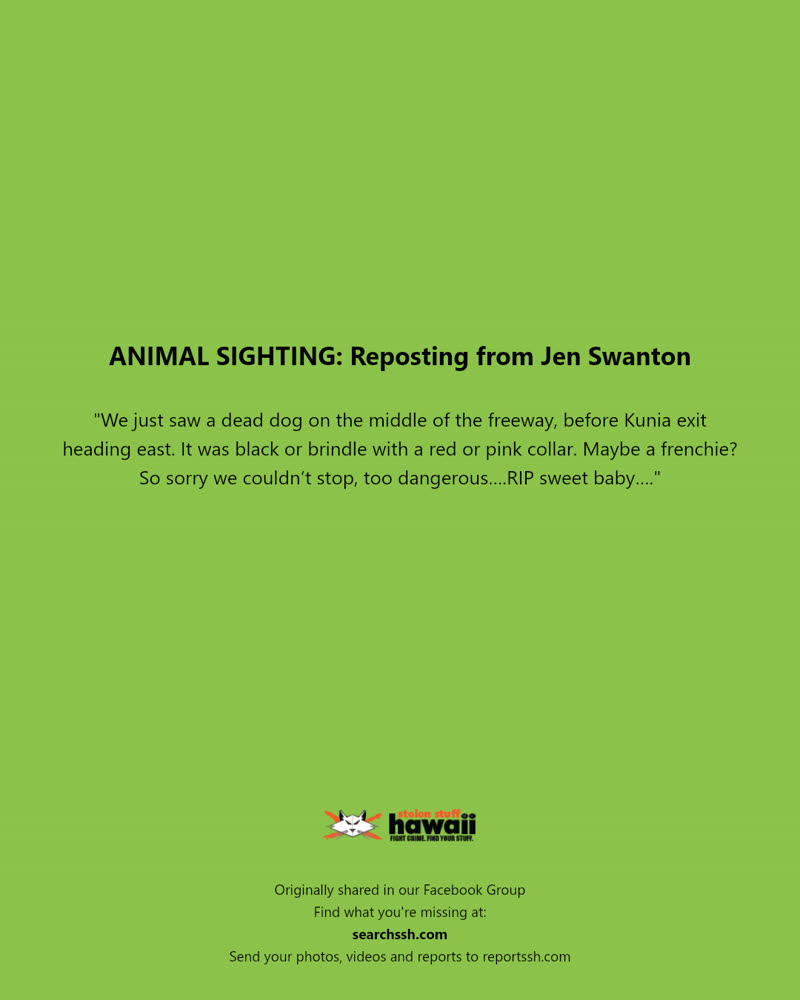 ANIMAL SIGHTING - Kunia exit, eastbound freeway | SSH Search