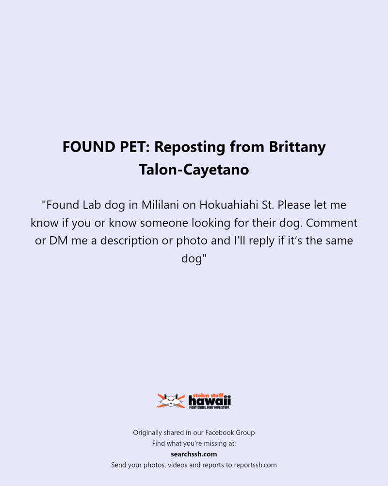 FOUND PET - Hokuahiahi Street, Mililani | SSH Search