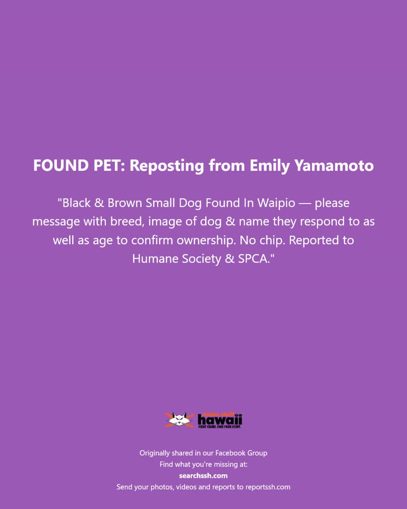 FOUND PET - Waipio, Oahu | SSH Search