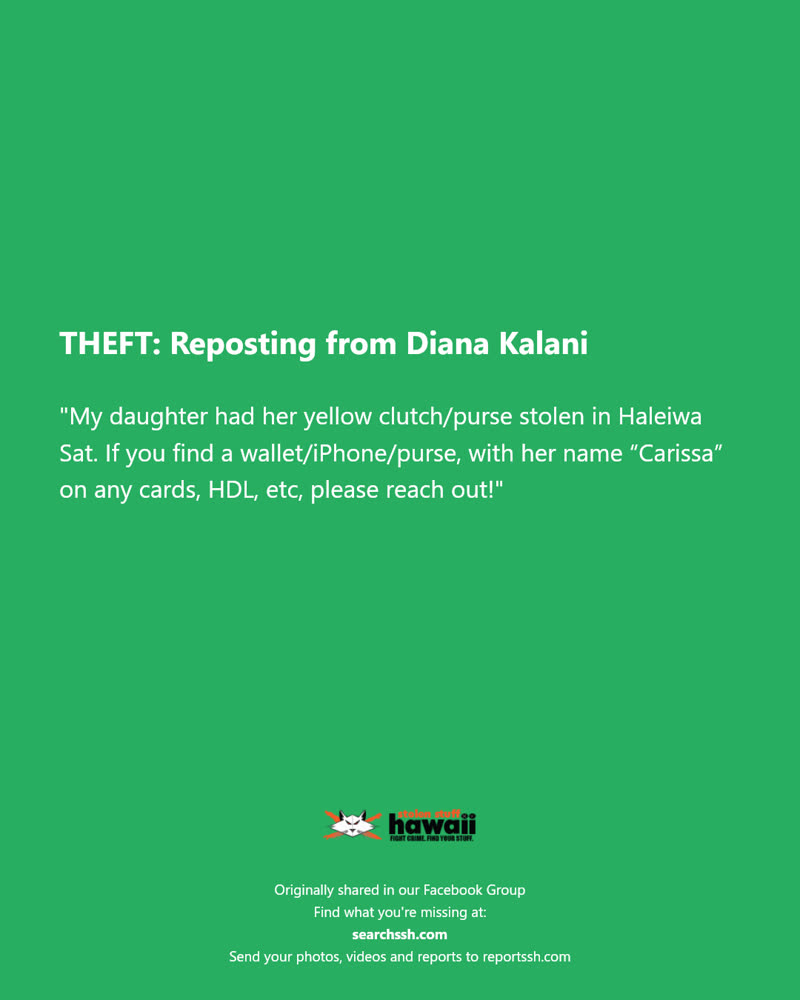 THEFT - Haleiwa, Oahu | SSH Search