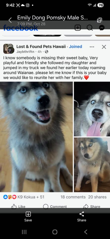 LOST PET - Hawaii | SSH Search
