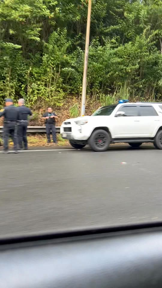 TRAFFIC INCIDENT - Kahalu'u, Oahu | SSH Search