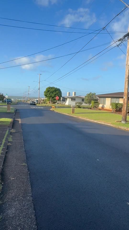 ANIMAL SIGHTING - Noelani Street, Pearl City, Oahu | SSH Search