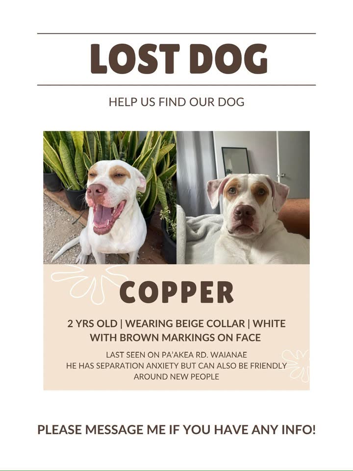 LOST PET - Pa'akea Rd, West side of Hawaii | SSH Search