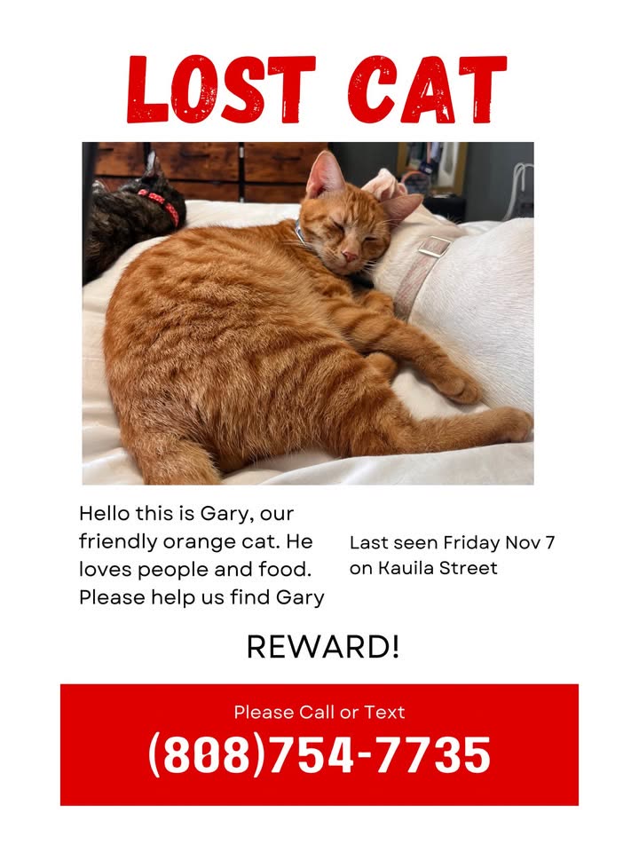 LOST PET - Nu'uanu, Oahu | SSH Search