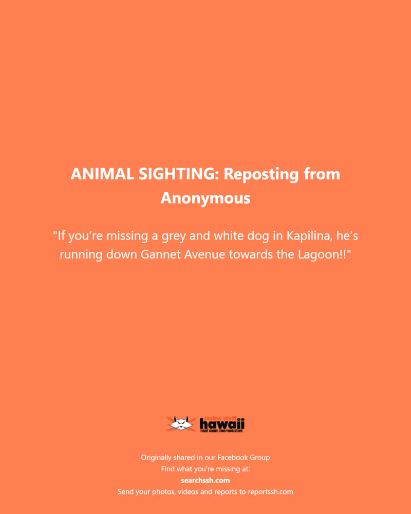 ANIMAL SIGHTING - Kapilina, Gannet Avenue, Lagoon | SSH Search
