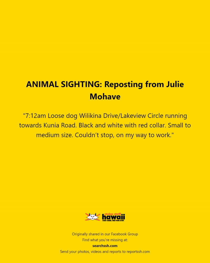 ANIMAL SIGHTING - Wilikina Drive/Lakeview Circle, Kunia Road | SSH Search