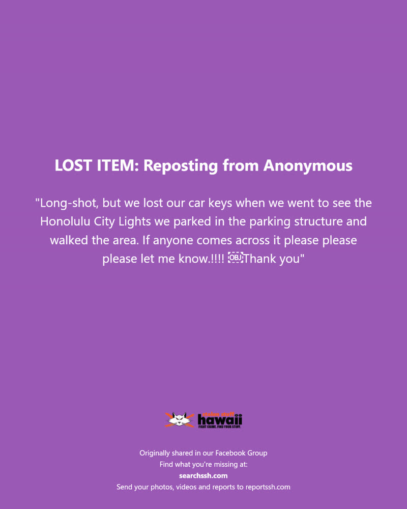 LOST ITEM - Honolulu City Lights, Honolulu, Oahu | SSH Search