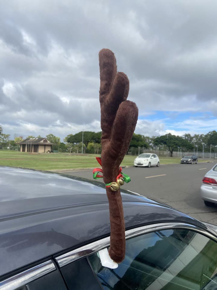 LOST ITEM - McCully and S. King Street, Honolulu | SSH Search