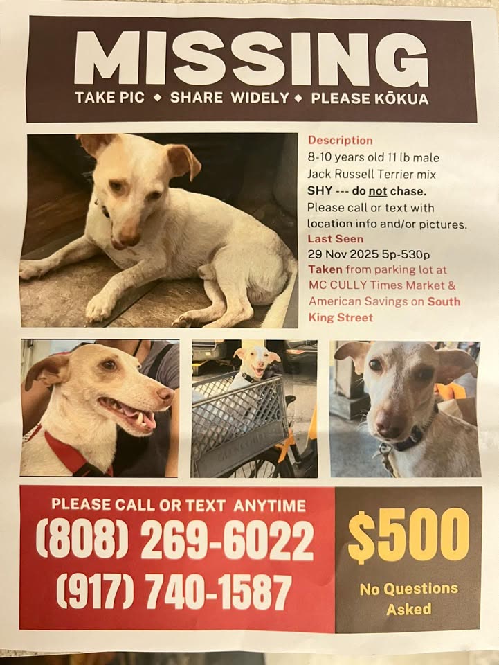 LOST PET - Hawaii | SSH Search