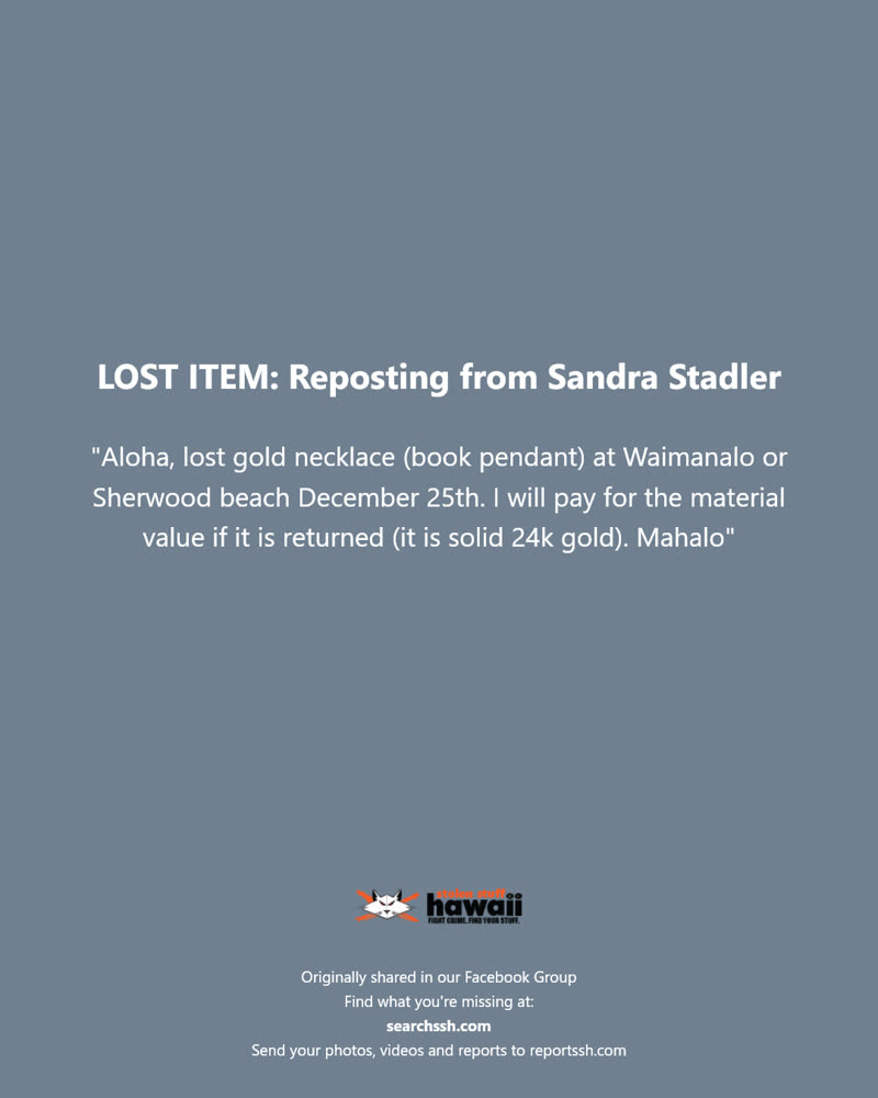 LOST ITEM - Waimanalo Beach, Oahu | SSH Search