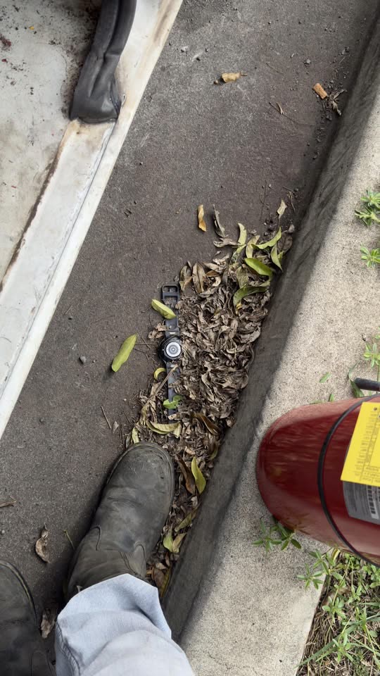 FOUND ITEM - Malakeke Street, Waipahu, Oahu | SSH Search