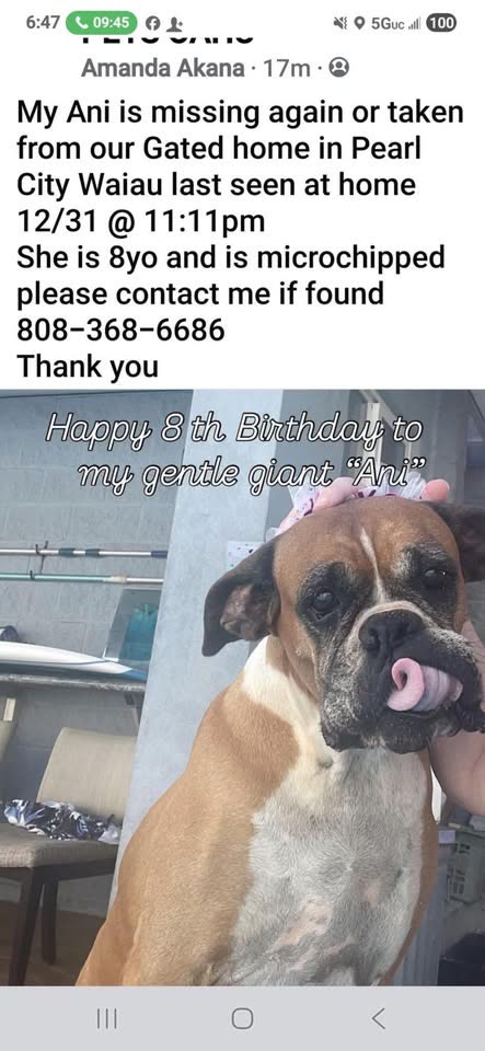 LOST PET - Hawaii | SSH Search
