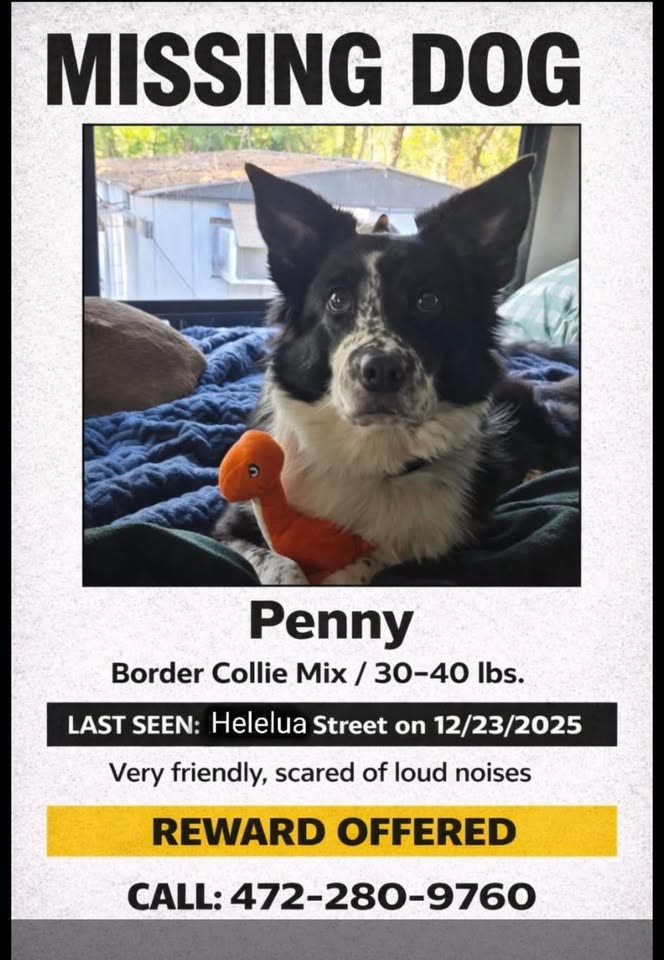 LOST PET - Hawaii | SSH Search