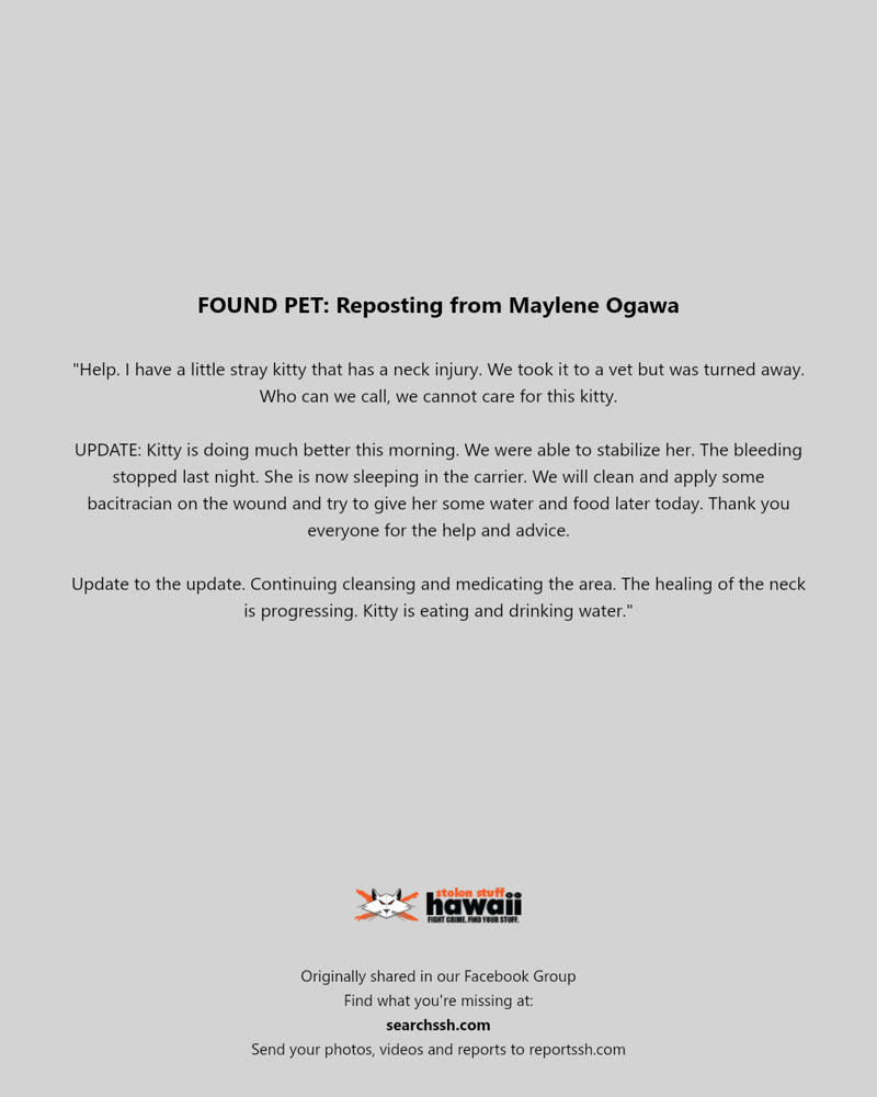 FOUND PET - Hawaii | SSH Search