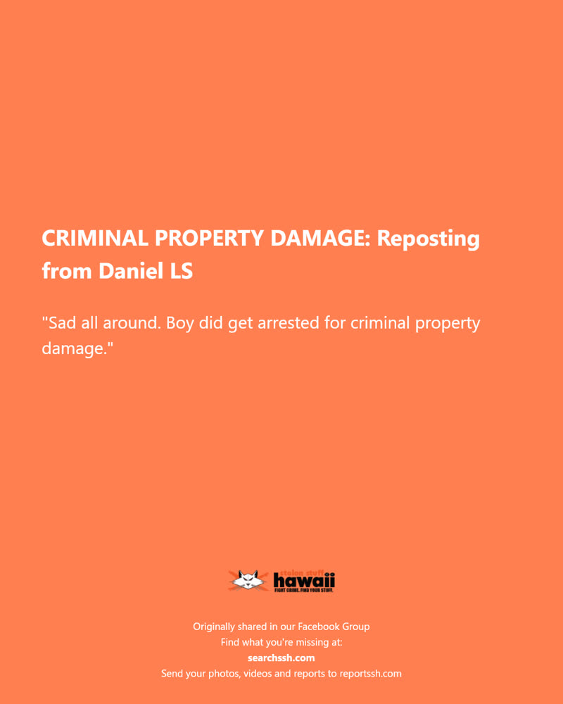 CRIMINAL PROPERTY DAMAGE - Hawaii | SSH Search