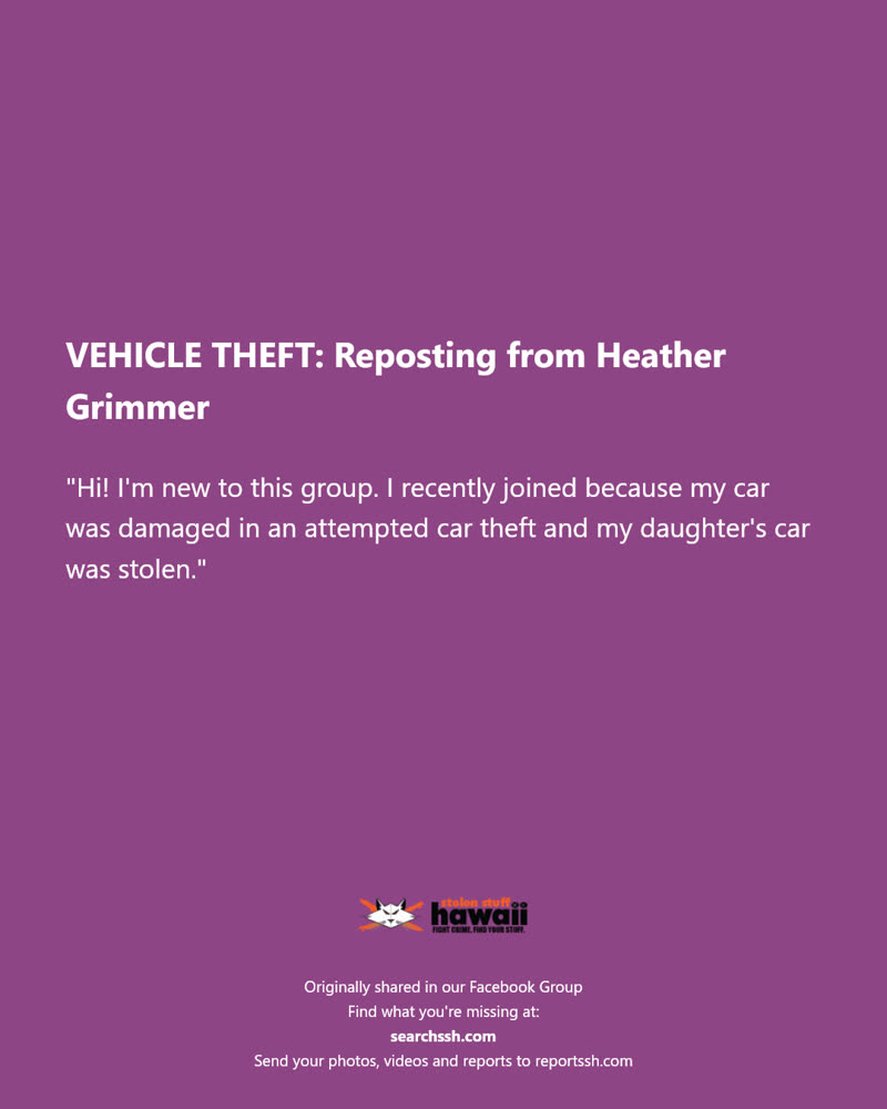VEHICLE THEFT - Hawaii | SSH Search