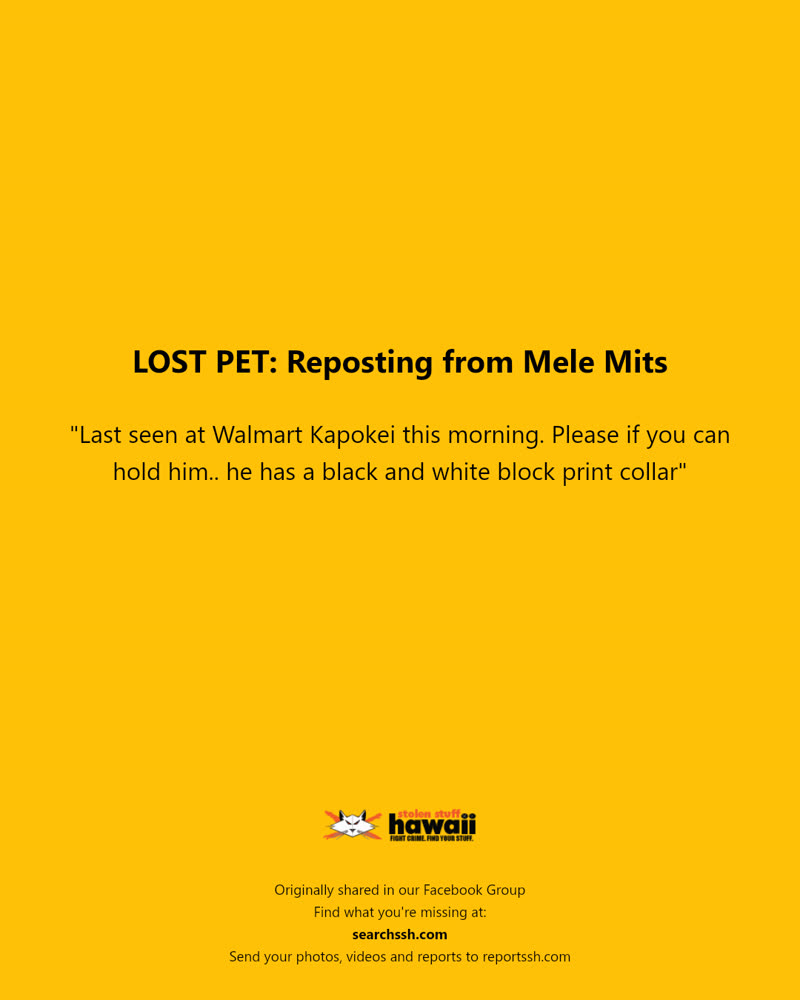LOST PET - Walmart Kapolei | SSH Search