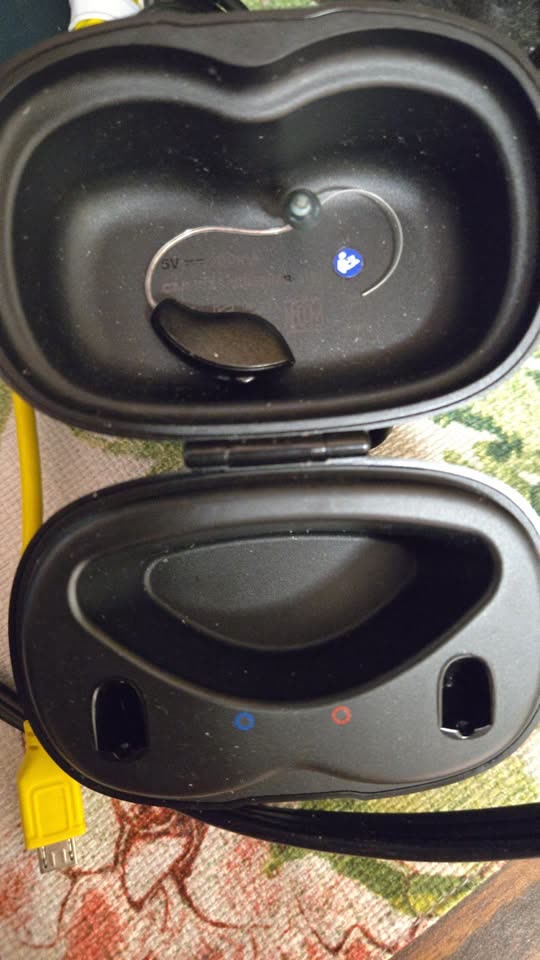 LOST ITEM - Ala Moana Park, Magic Island, Honolulu, Oahu | SSH Search