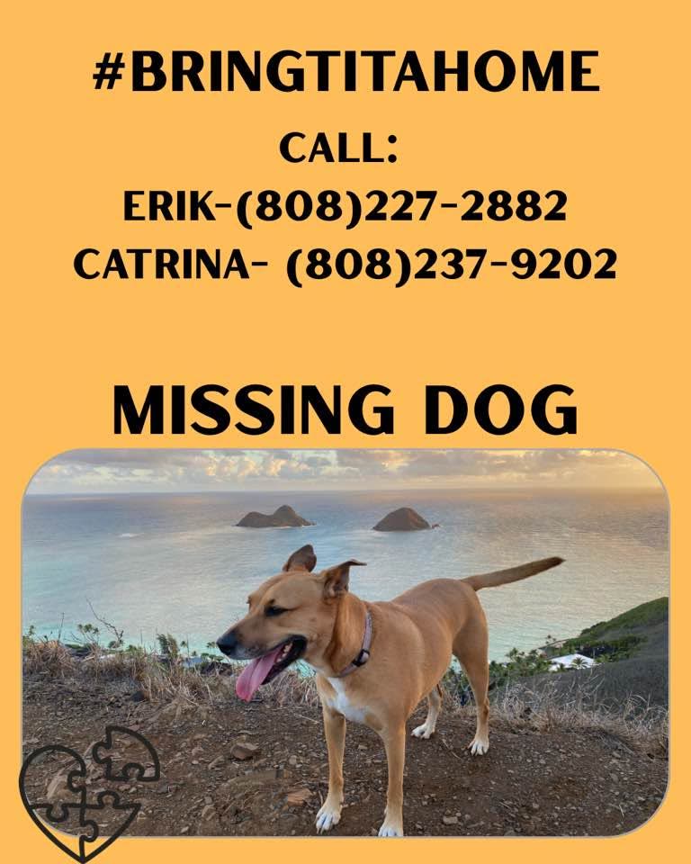 LOST PET - Hawaii | SSH Search