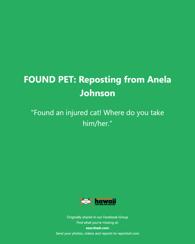 FOUND PET - Hawaii | SSH Search