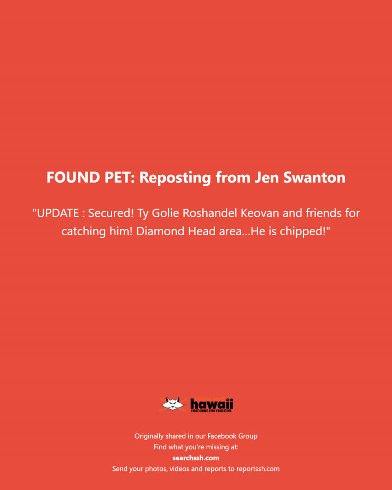 FOUND PET - Diamond Head area, Honolulu | SSH Search