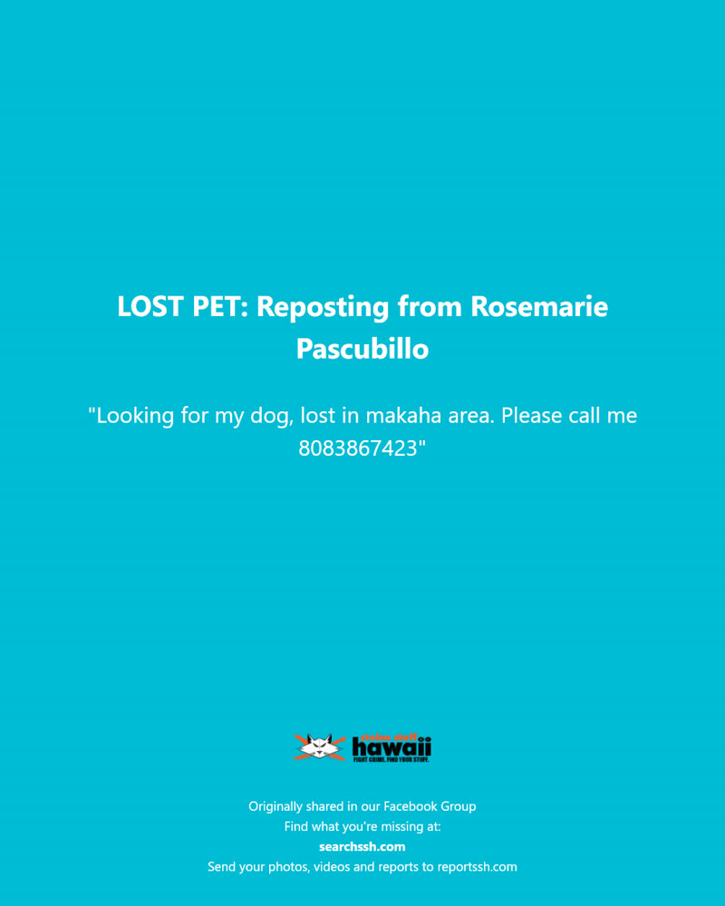 LOST PET - Makaha area, Oahu | SSH Search