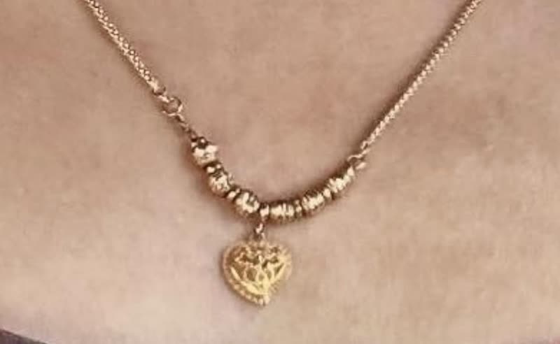 LOST ITEM - Kapolei, Oahu | SSH Search