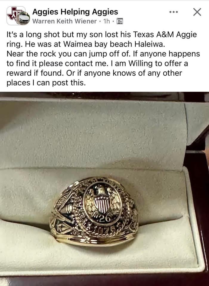 LOST ITEM - Waimea Beach, Oahu | SSH Search