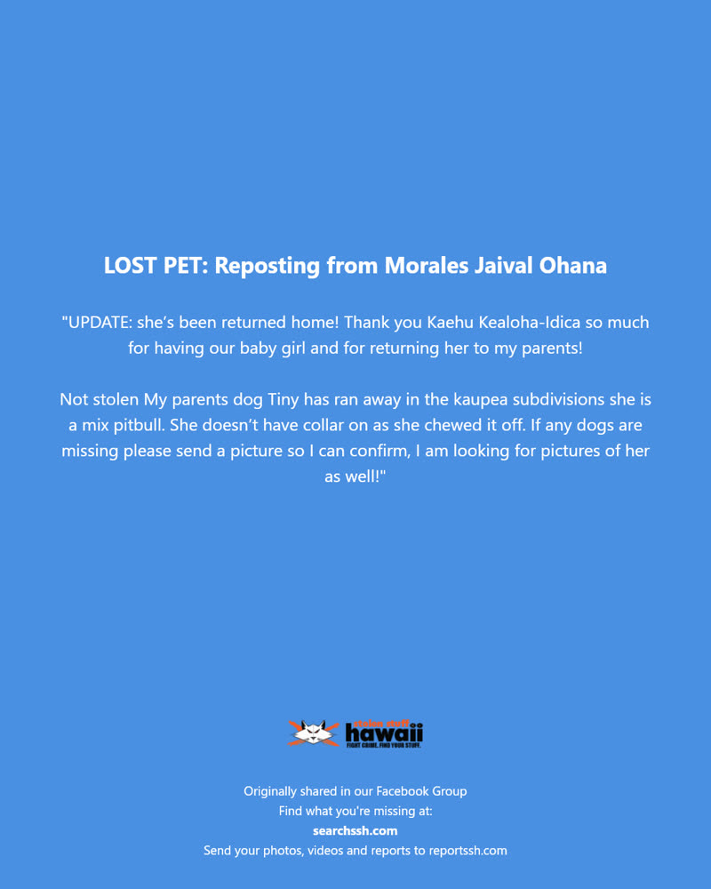 LOST PET - Kaupea Subdivisions, Hawaii | SSH Search