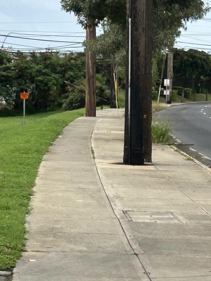 ANIMAL SIGHTING - Lauwiliwili Street, Kapolei, Oahu | SSH Search