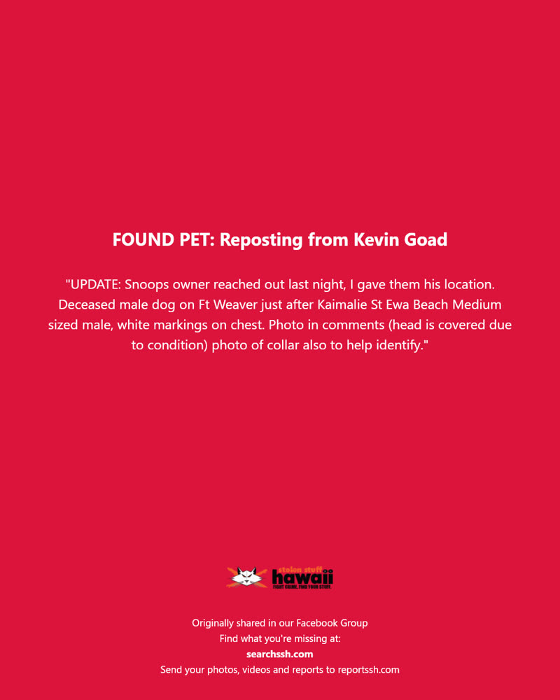 FOUND PET - Ft Weaver just after Kaimalie St, Ewa Beach | SSH Search